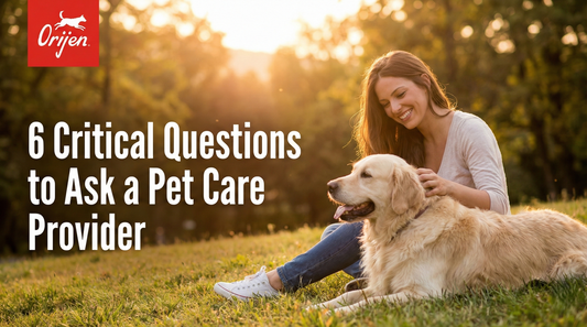6 Critical Questions to Ask a Pet Care Provider